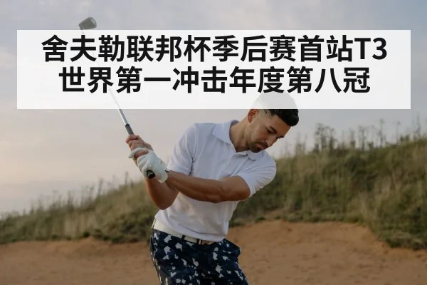 舍夫勒联邦杯季后赛首站T3 世界第一冲击年度第八冠